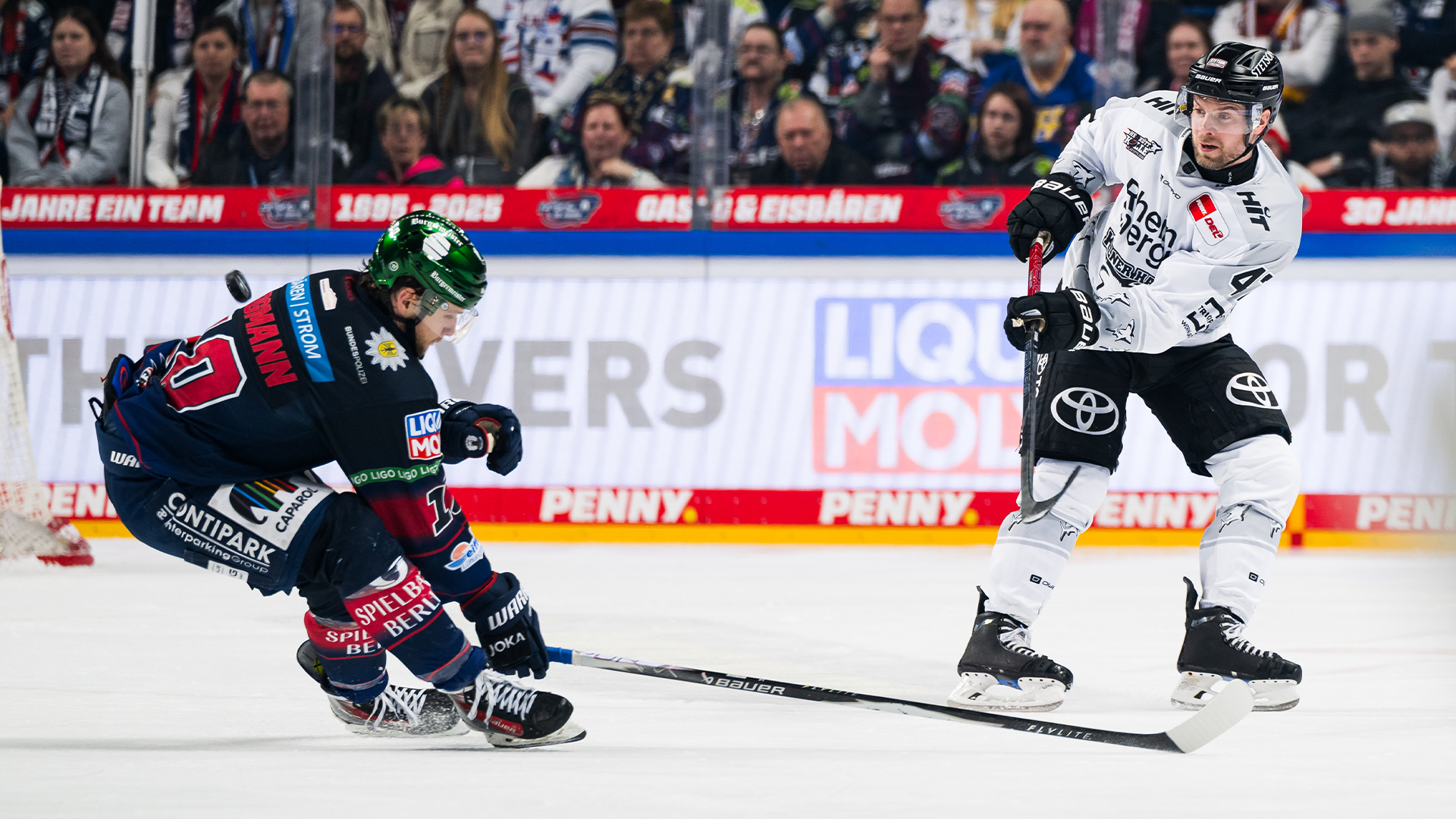 Eisbären Berlin gg. Kölner Haie